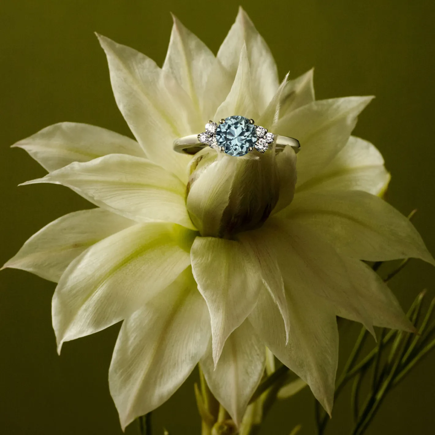 Bague Baby EverBloom 6 mm^GEMMYO Fashion